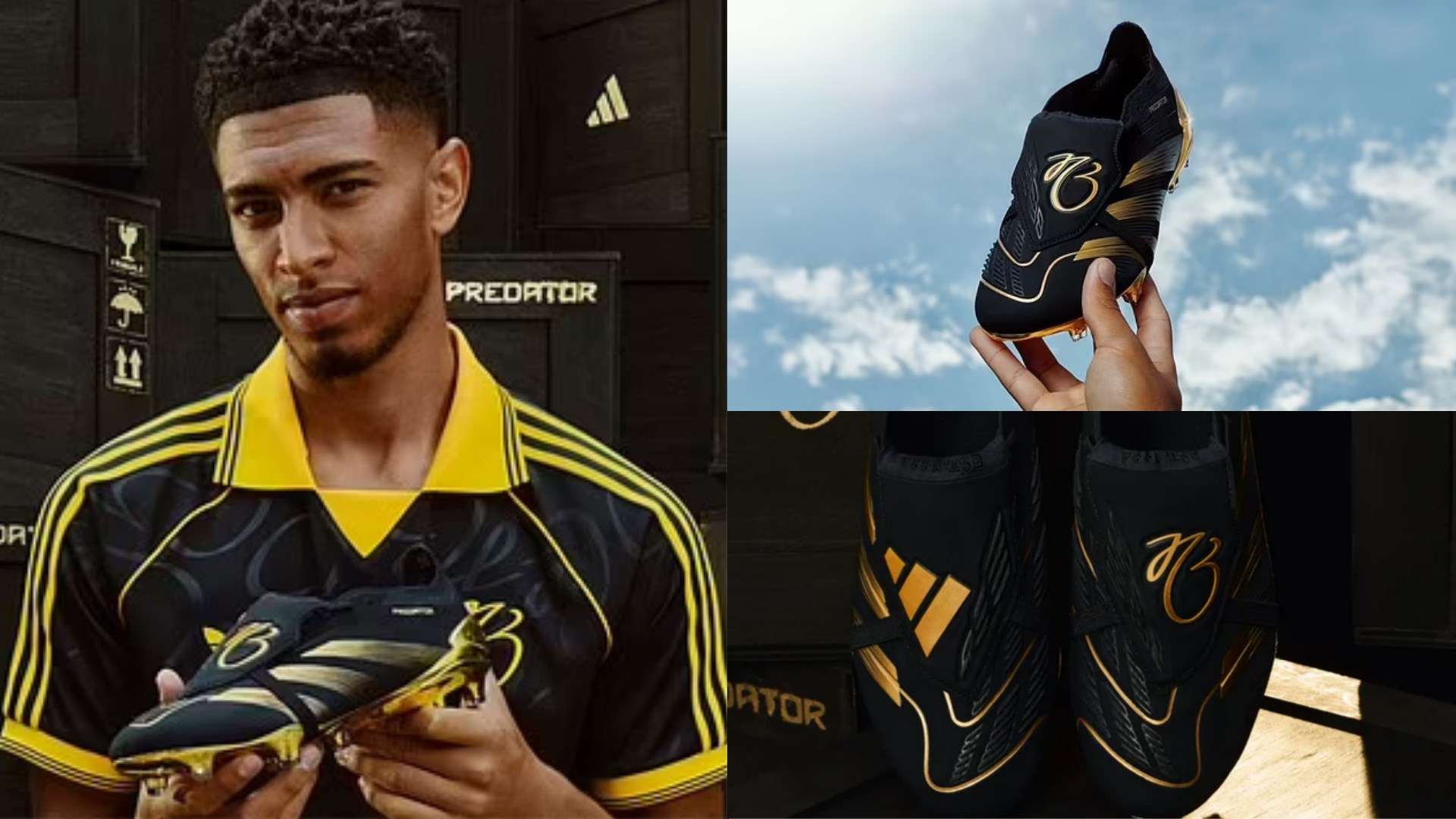 由市场签约 由市场签约